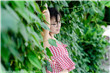 欲望格斗